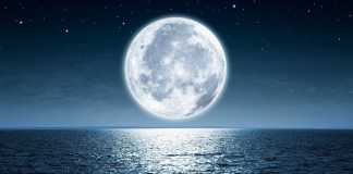 video månen rör sig bort från jorden