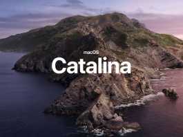 macOS Catalina 10.15.1 watchOS 6.1
