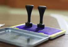 ALEGERI PREZIDENTIALE 2019 LIVE PREZENTA VOT Strainatate