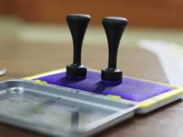 ALEGERI PREZIDENTIALE 2019 LIVE PREZENTA VOT Strainatate