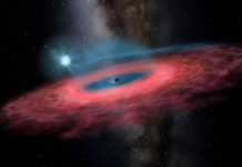 Gaura Neagra. Anuntul ULUITOR, ce NU ar fi Trebuit sa EXISTE!