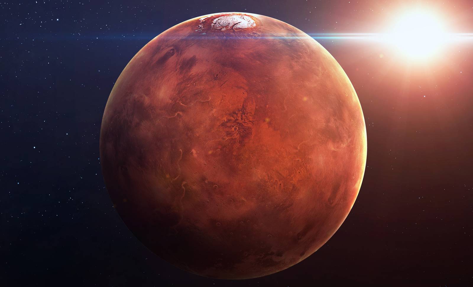 Planeten Mars bevis på insektliv