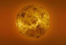 Planeta Venus NASA ANUNT