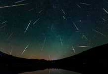 Ursidele PLOAIE METEORITI