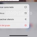 Toque háptico de WhatsApp