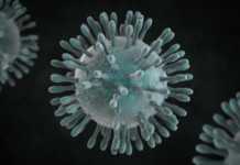 Appelcoronavirus