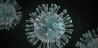 Appelcoronavirus