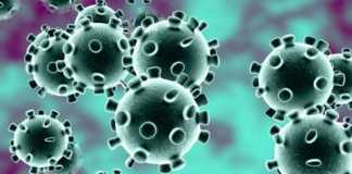 Besmettingskaart voor het coronavirus