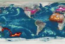 NASA: VIDEO IMPRESIONANT cu Migratia Fumului Incendiilor din Australia NASA fum australia