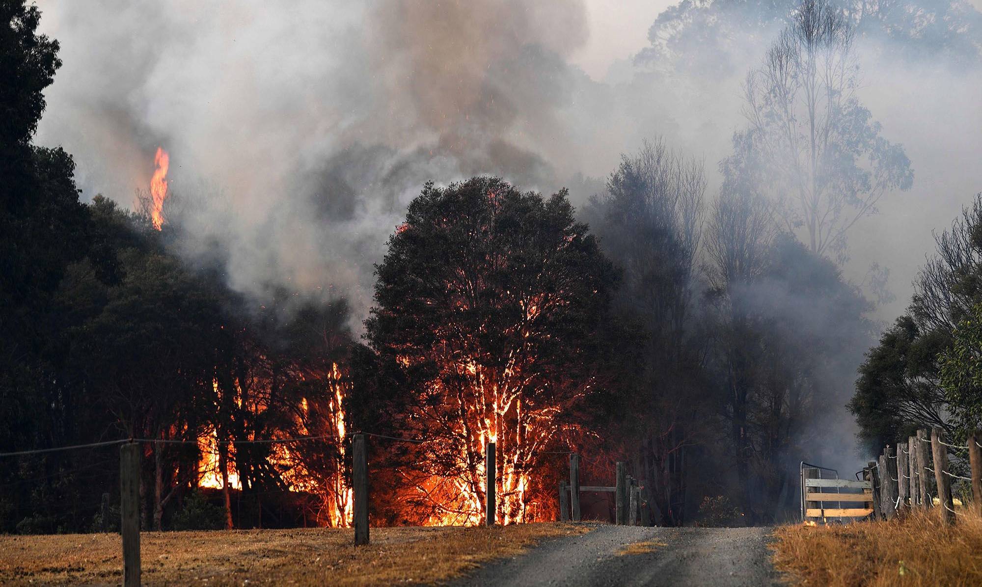 Nasa Anuntul Alarmant Privind Incendiile Din Australia Idevice Ro