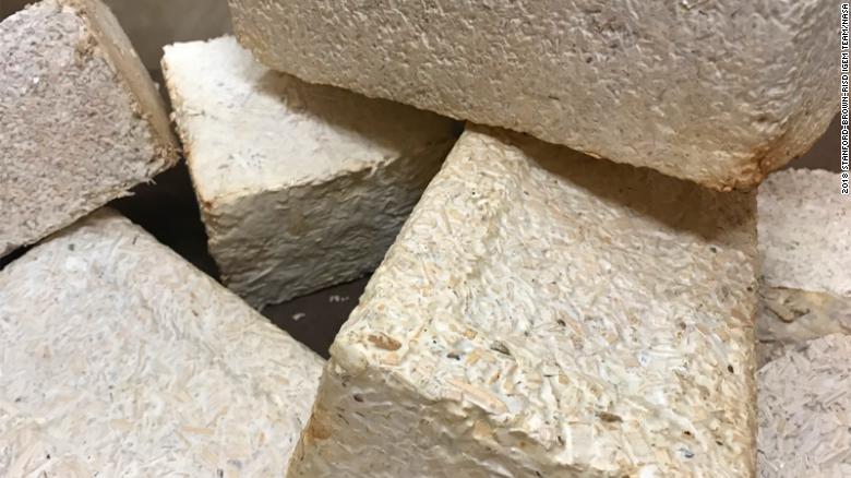 briques fabriquées à partir de mycélium
