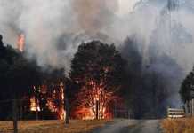 incendios australia nasa