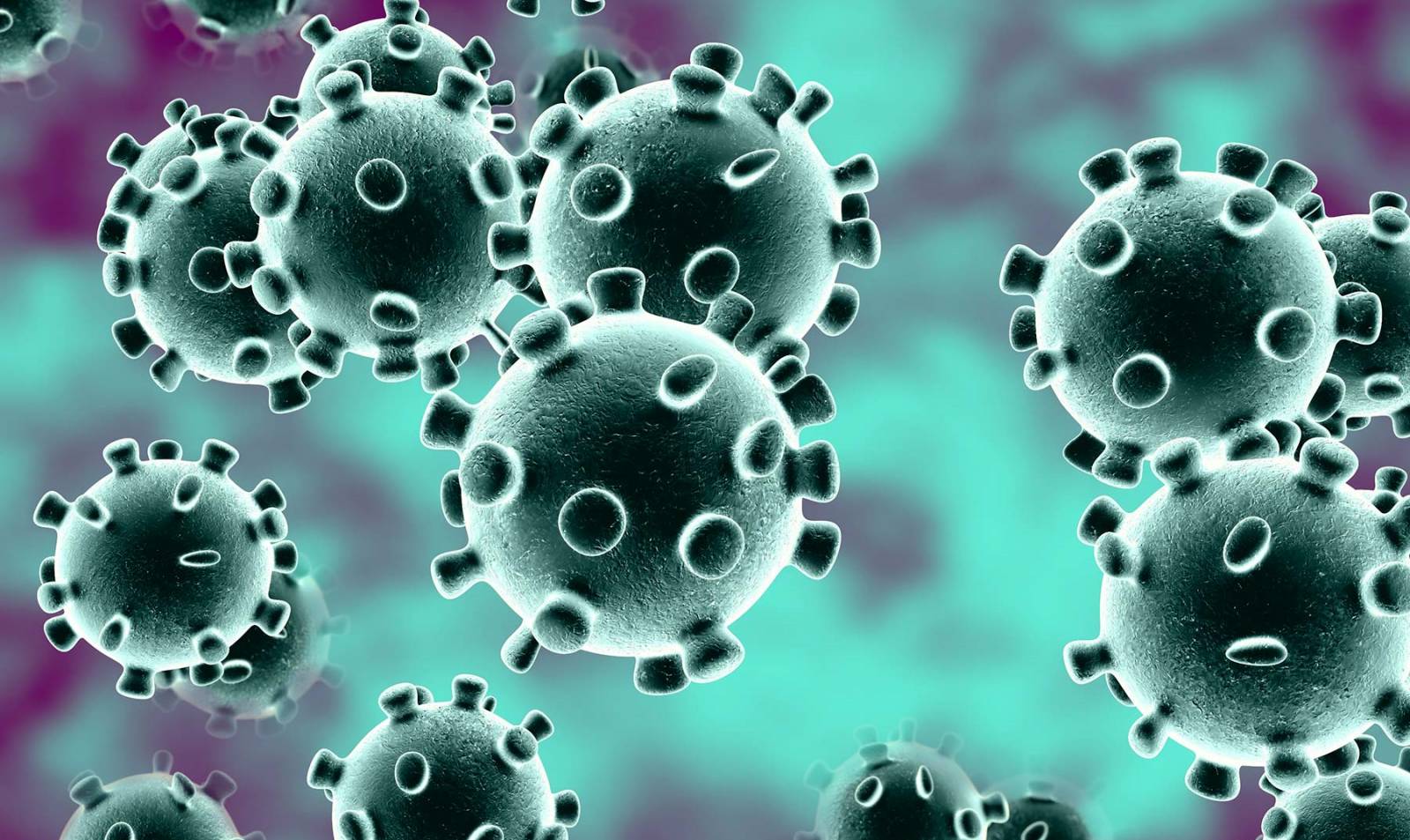 Het geïnfecteerde applicatiecoronavirus