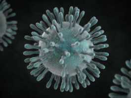 Koronavirus ihmisellä