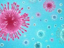 Coronavirus princess