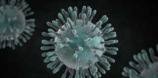 Coronavirus xiaomi
