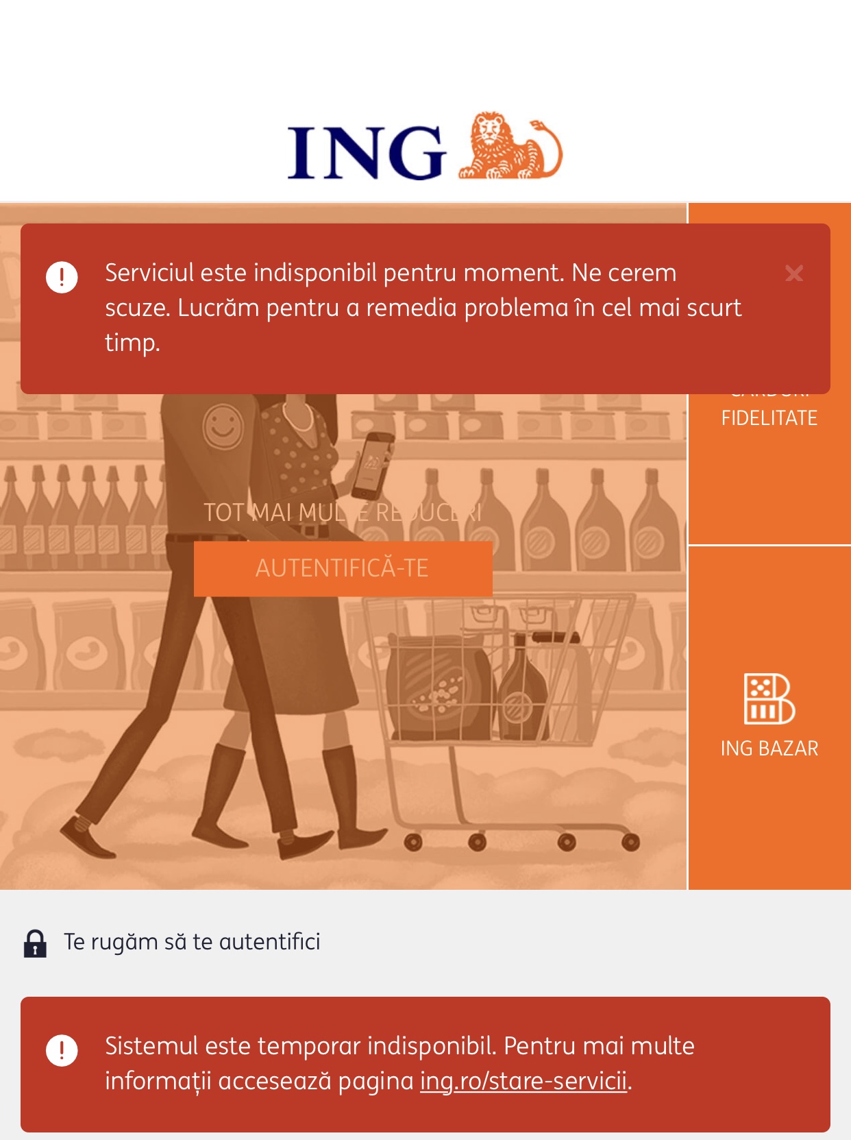 Problemas con el banco local de ING Bank