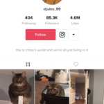 TikTok ontwerp instagram