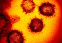 Coronavirus Israel urmarire