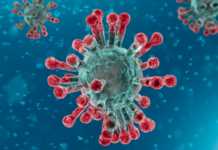 Coronavirus Romania Cazuri 25 Martie