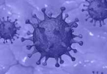 Coronavirus Romania Cazuri Vindecari 27 martie
