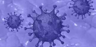 Les cas de coronavirus en Roumanie guérissent le 27 mars