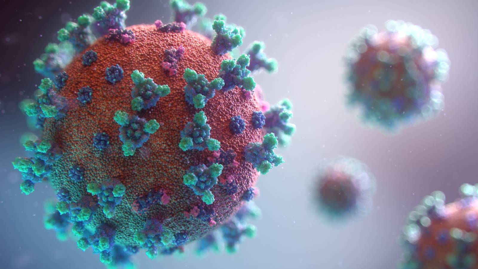 Gevallen van coronavirus Roemenië genezen op 29 maart