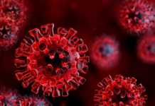 Coronavirus Rumænien tilfælde kureret 31. marts