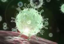 Coronavirus Romania DSU ordonanta militara 3