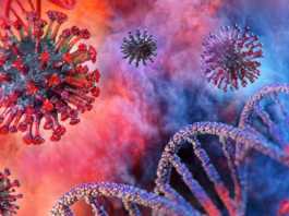 Coronavirus Romania Masuri 19 Martie