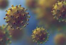 Coronavirus Romania Recomandari DSU
