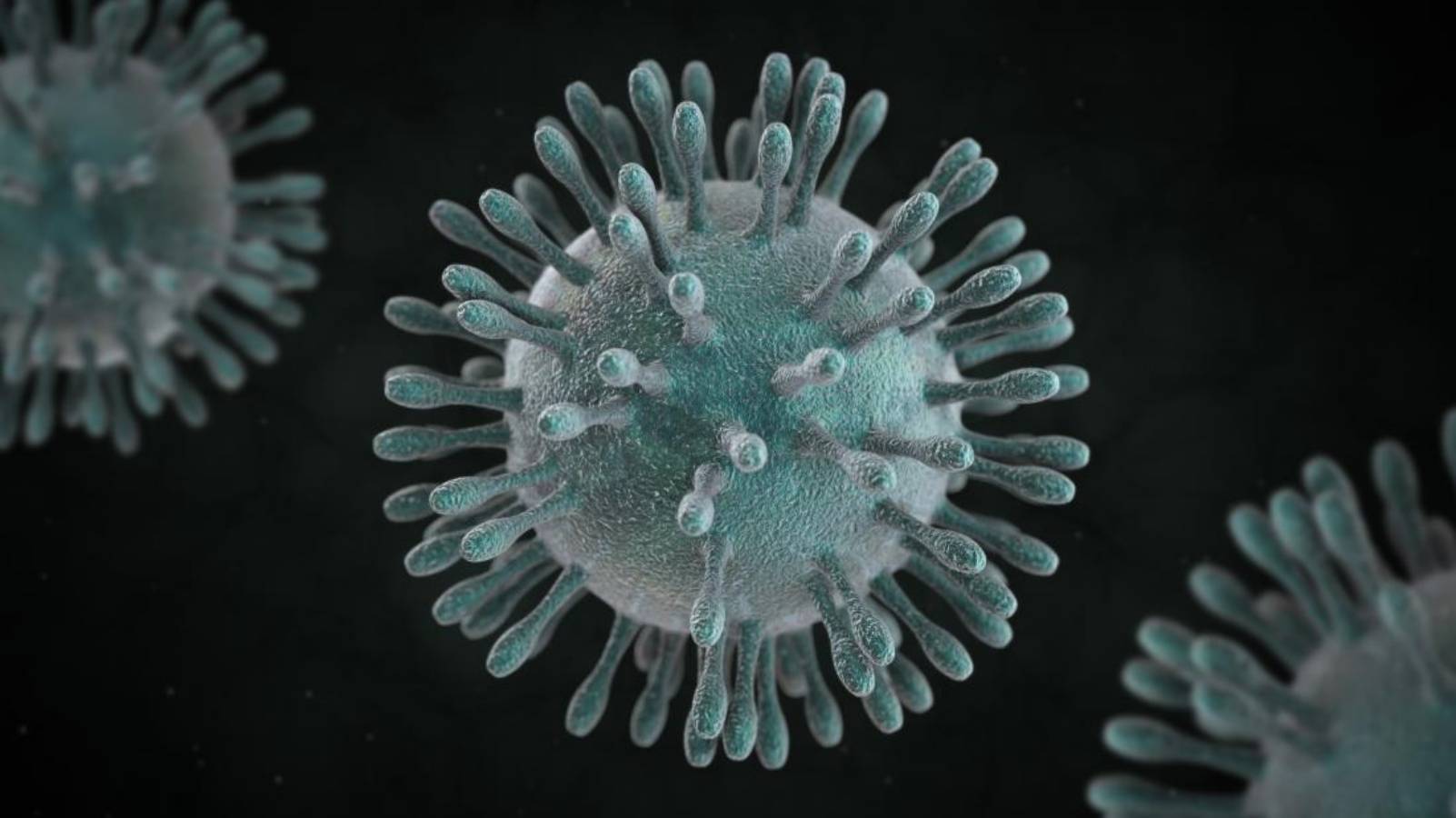 Coronavirus Roumanie bel isolement