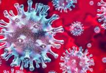 Coronavirus Romania death cases March 22