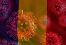 Coronavirus Romania cazuri decese 23 martie