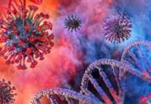 Coronavirus Romania cazuri vindecari 24 martie