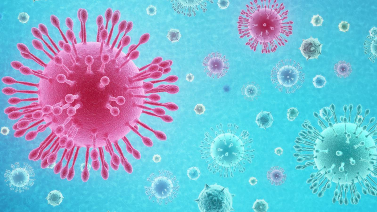 Het Roemeense coronavirus in agglomeraties