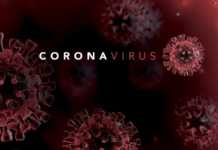 Coronavirus Romania infirma inchiderea magazinelor