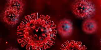 Coronavirus Rumäniens regeringsåtgärder