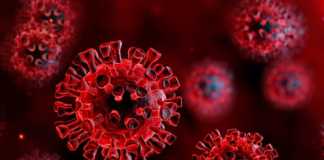 Coronavirus Romania government measures