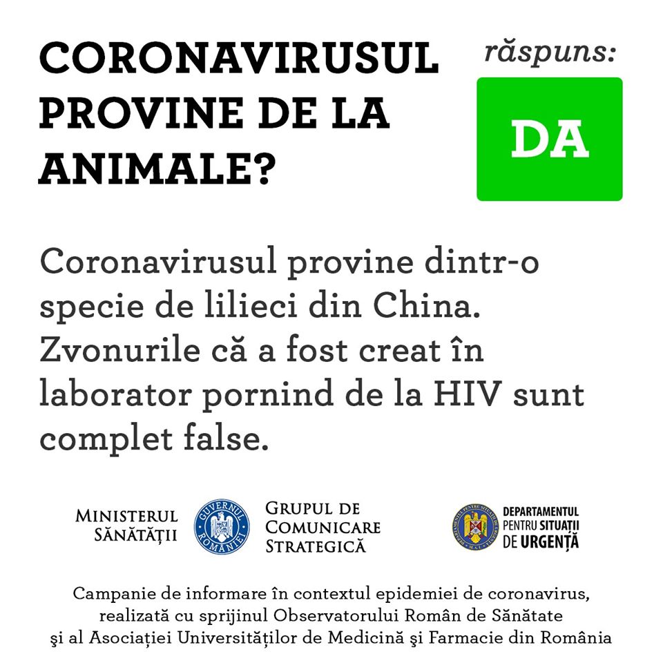 Coronavirus Romania animal origin bats