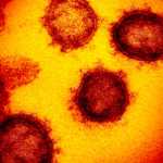 Coronavirus Romania recomandari guvern