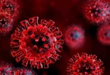 Coronavirus Romania situatie 15 martie