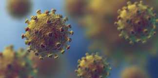 Coronavirus Rumänien drei Heilmittel