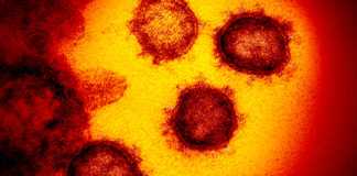 Rumania caso de coronavirus 14 Bucarest