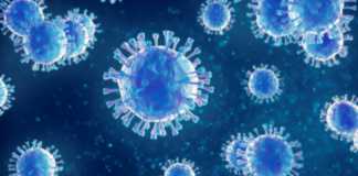 Die rumänische Regierung hat das Coronavirus selbst isoliert