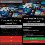 Netflix whatsapp fidus