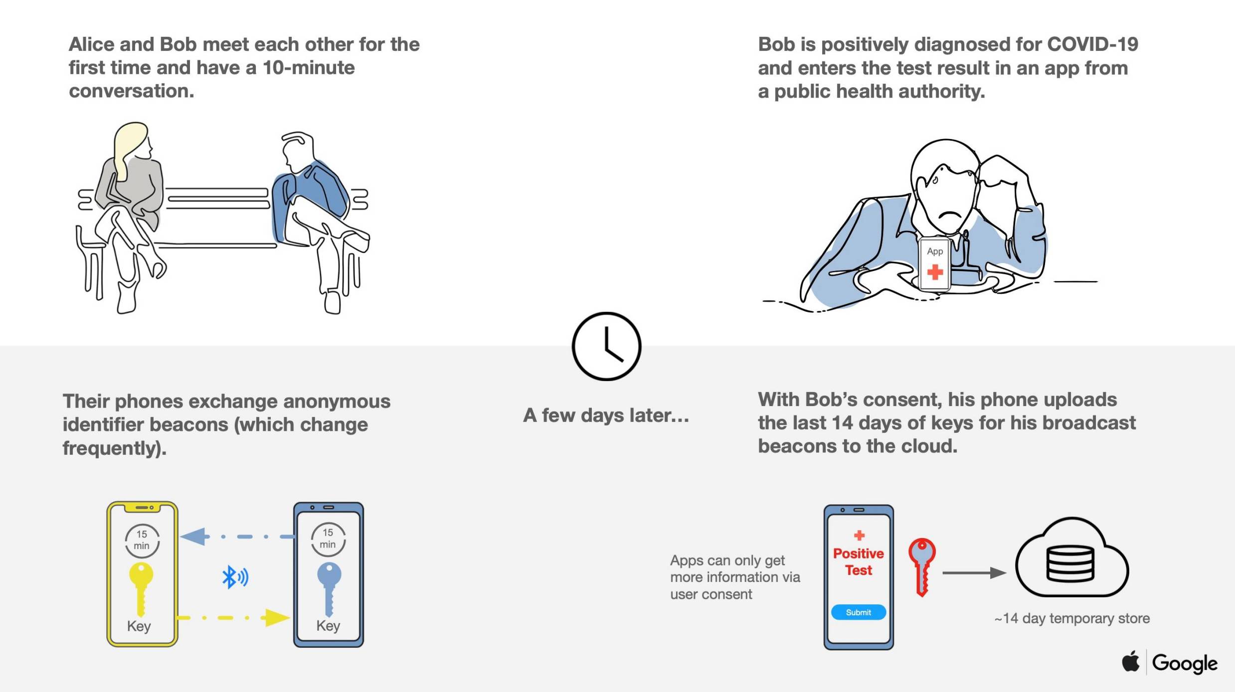 Apple Google MONITOREO Explicación del coronavirus