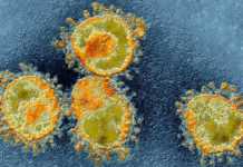 Coronavirus Rumänien-fall botade 1 april