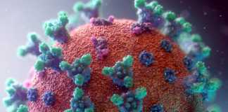 Coronavirus Rumänien-fall botade 14 april