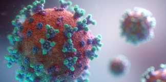 Gevallen van coronavirus in Roemenië genezen op 2 april 2020